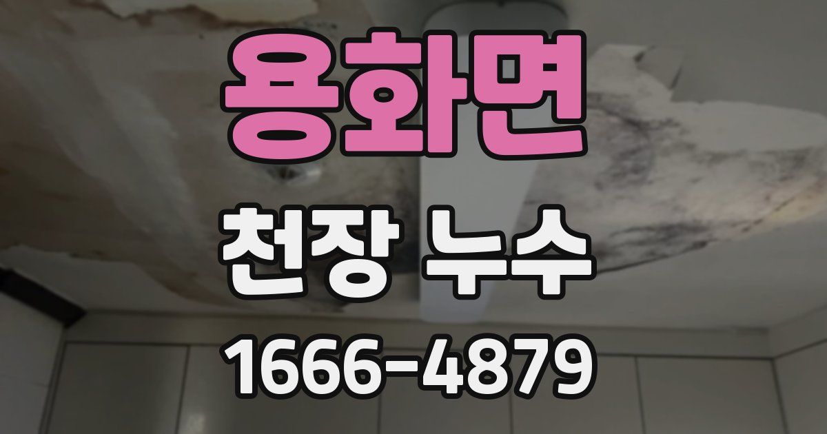 용화면 천장 누수