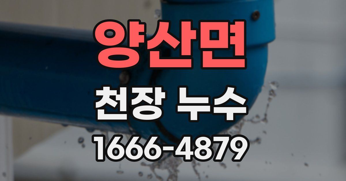 양산면 천장 누수