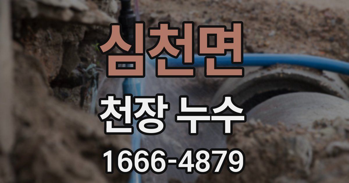 심천면 천장 누수