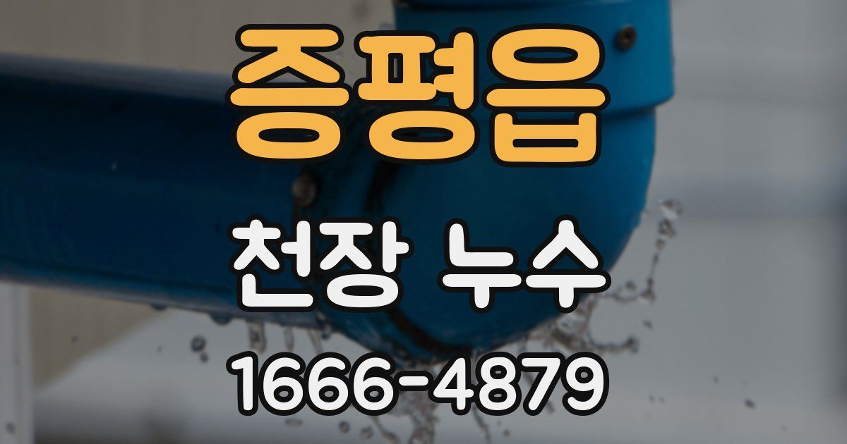 증평읍 천장 누수