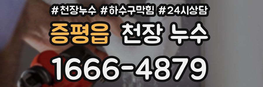 증평읍 천장 누수