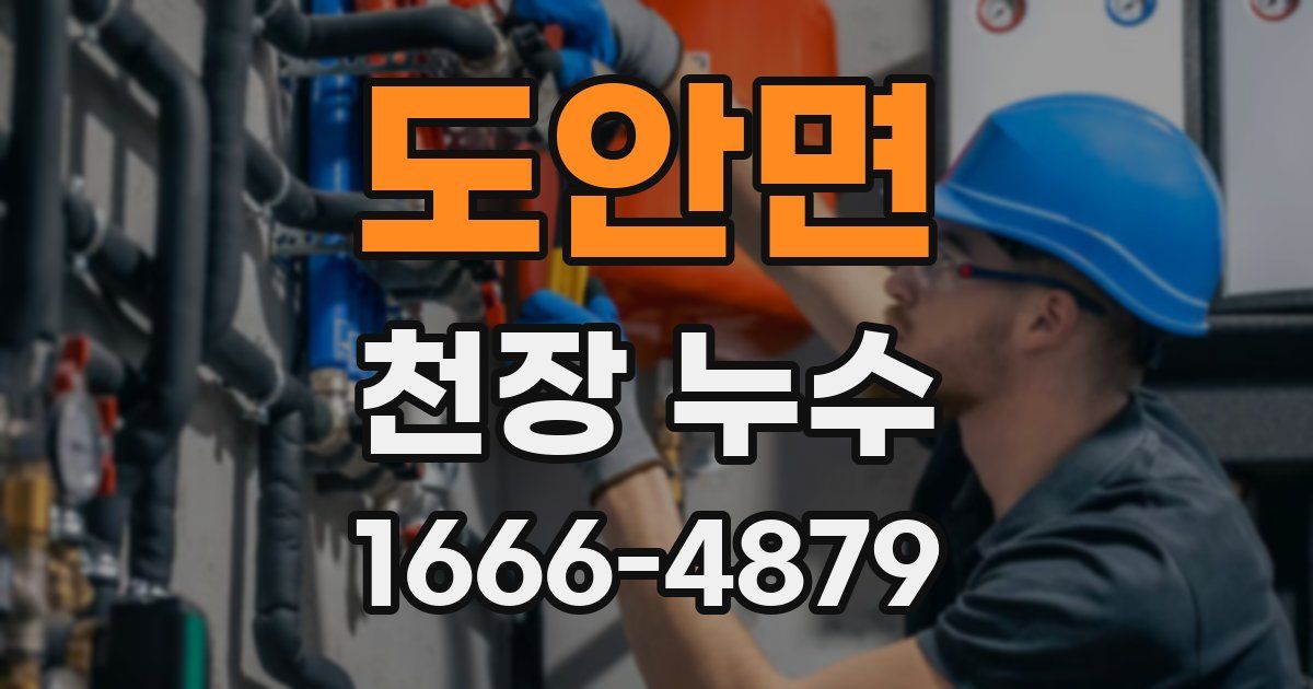 도안면 천장 누수