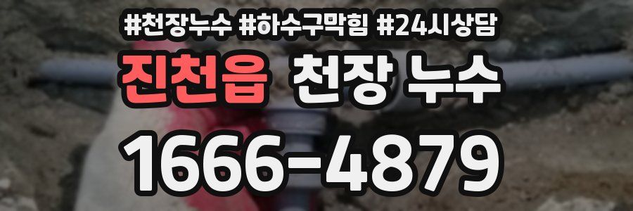 진천읍 천장 누수