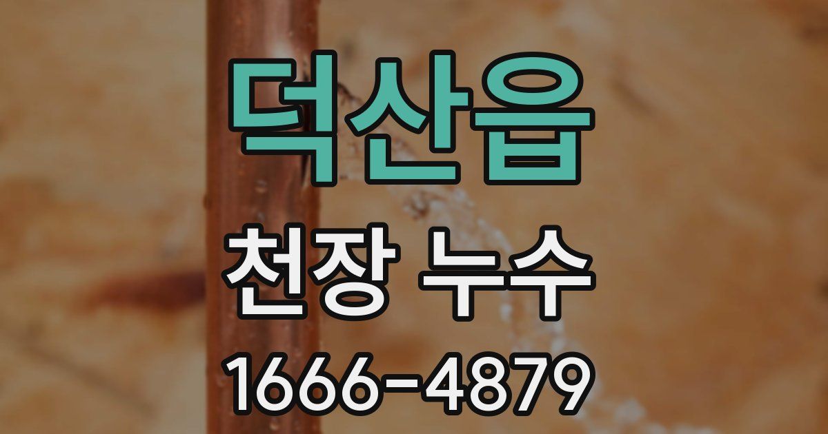 덕산읍 천장 누수