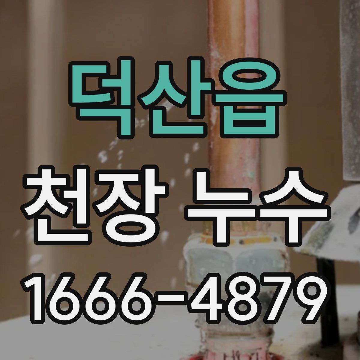 덕산읍 천장 누수