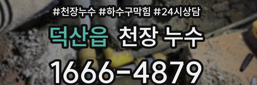 덕산읍 천장 누수