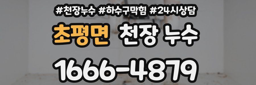 초평면 천장 누수