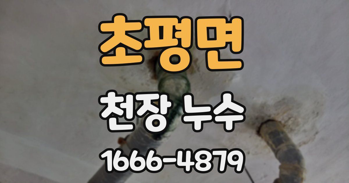 초평면 천장 누수
