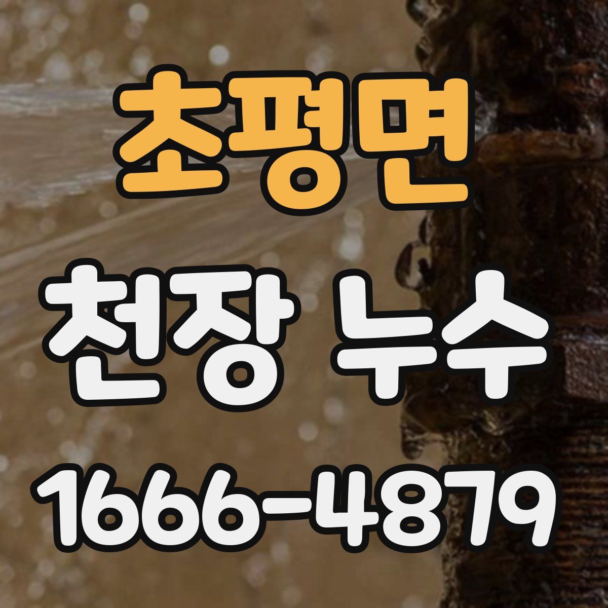 초평면 천장 누수