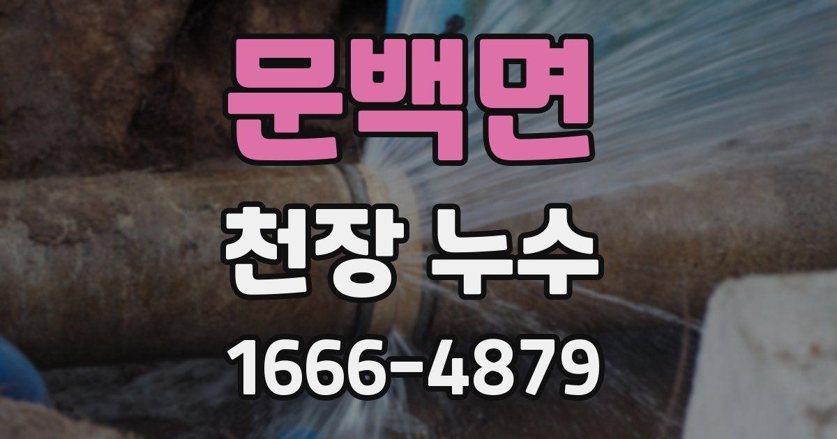 문백면 천장 누수