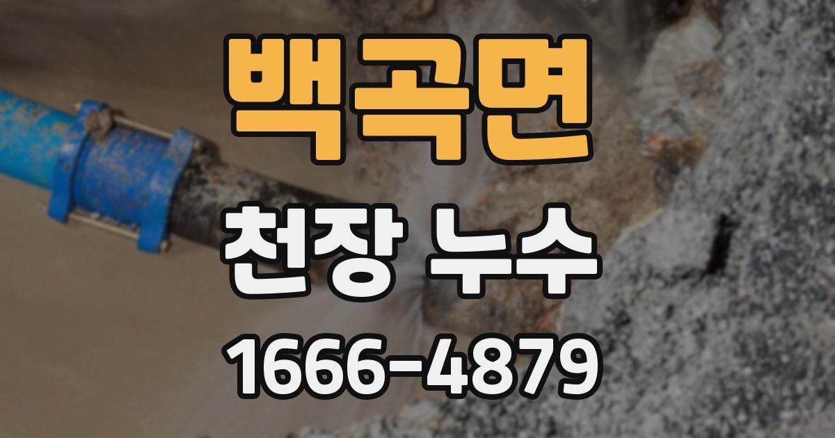 백곡면 천장 누수