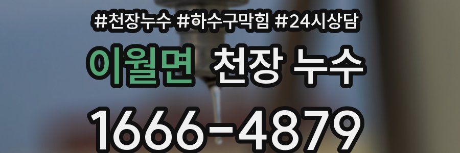 이월면 천장 누수