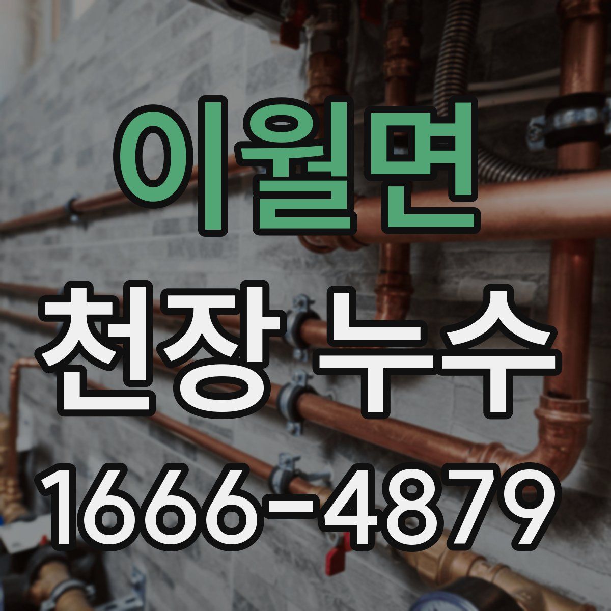 이월면 천장 누수