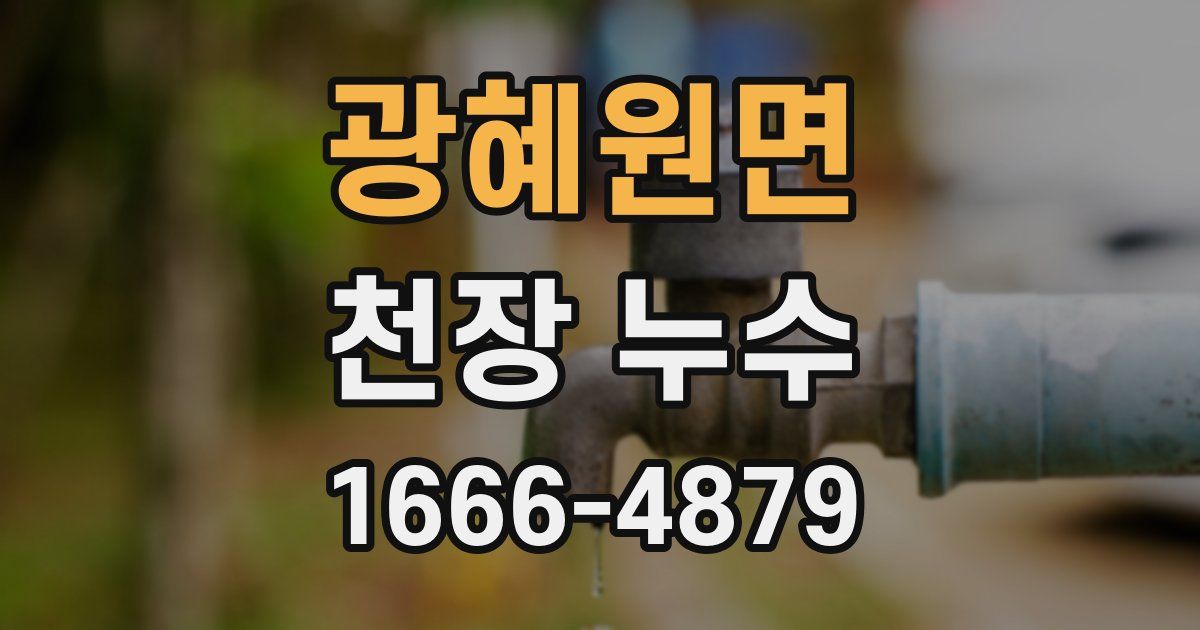 광혜원면 천장 누수