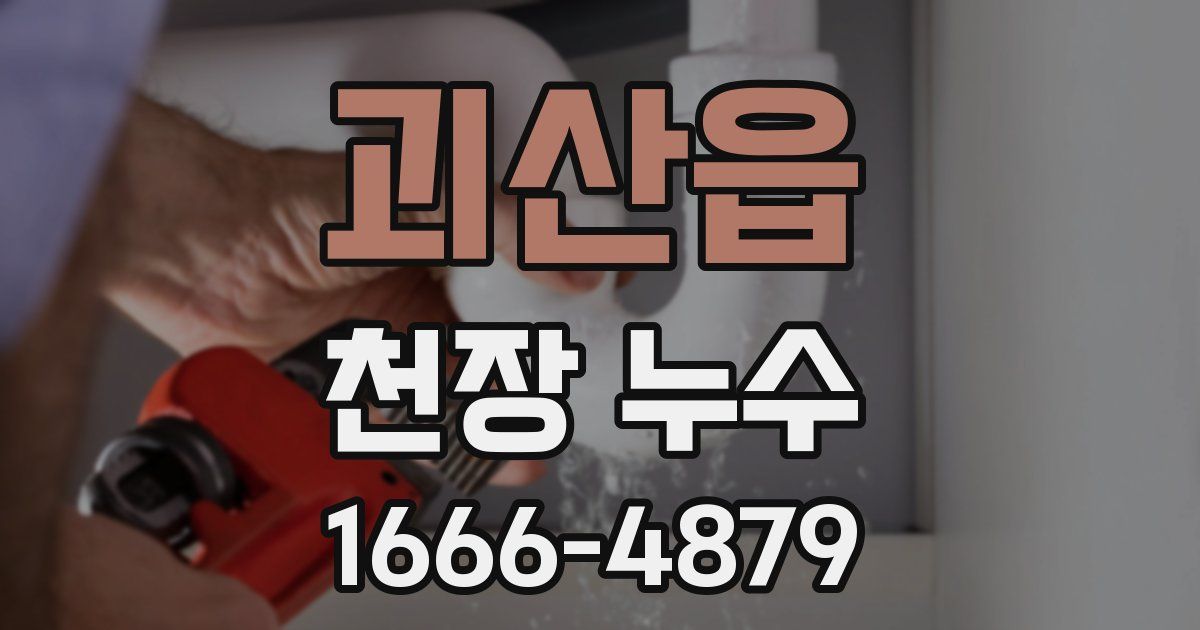 괴산읍 천장 누수