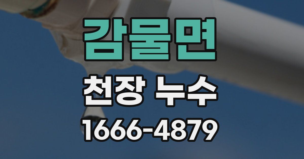 감물면 천장 누수