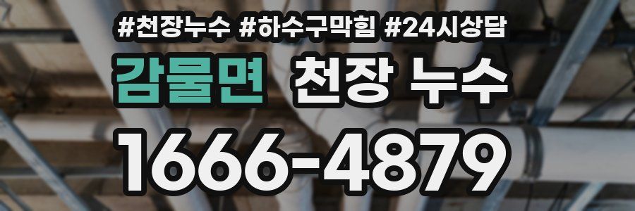 감물면 천장 누수