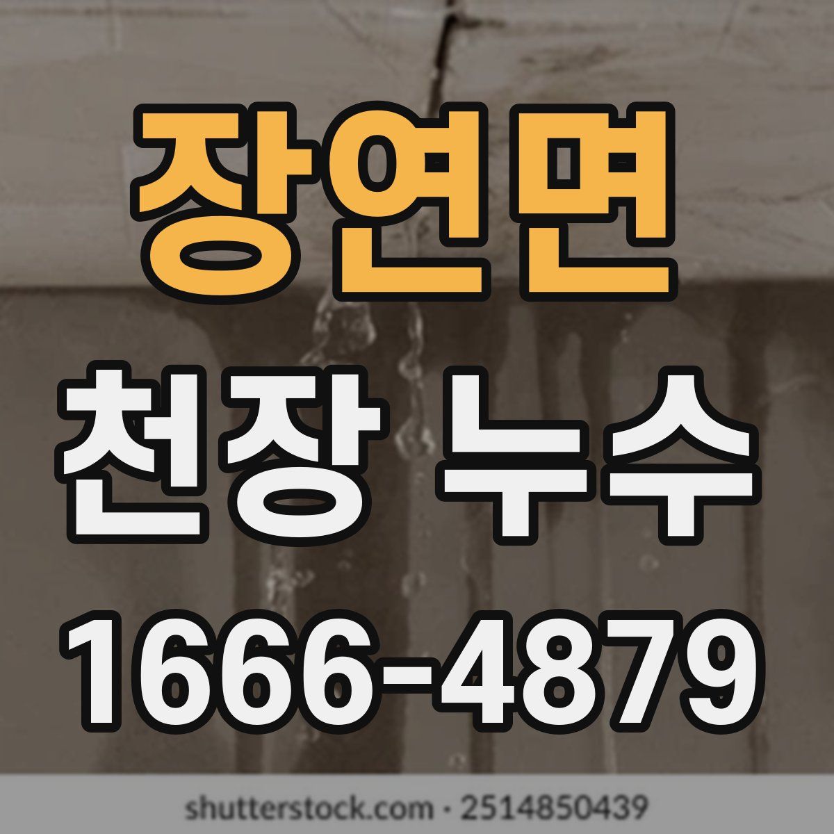 장연면 천장 누수