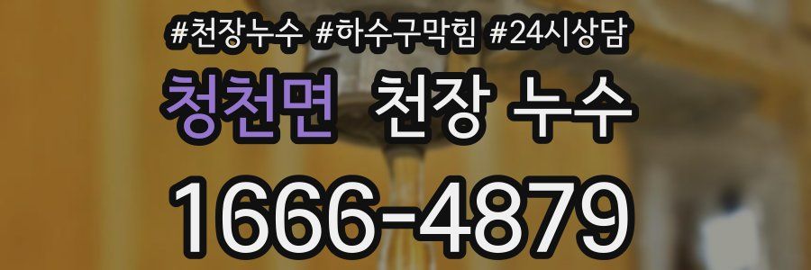 청천면 천장 누수