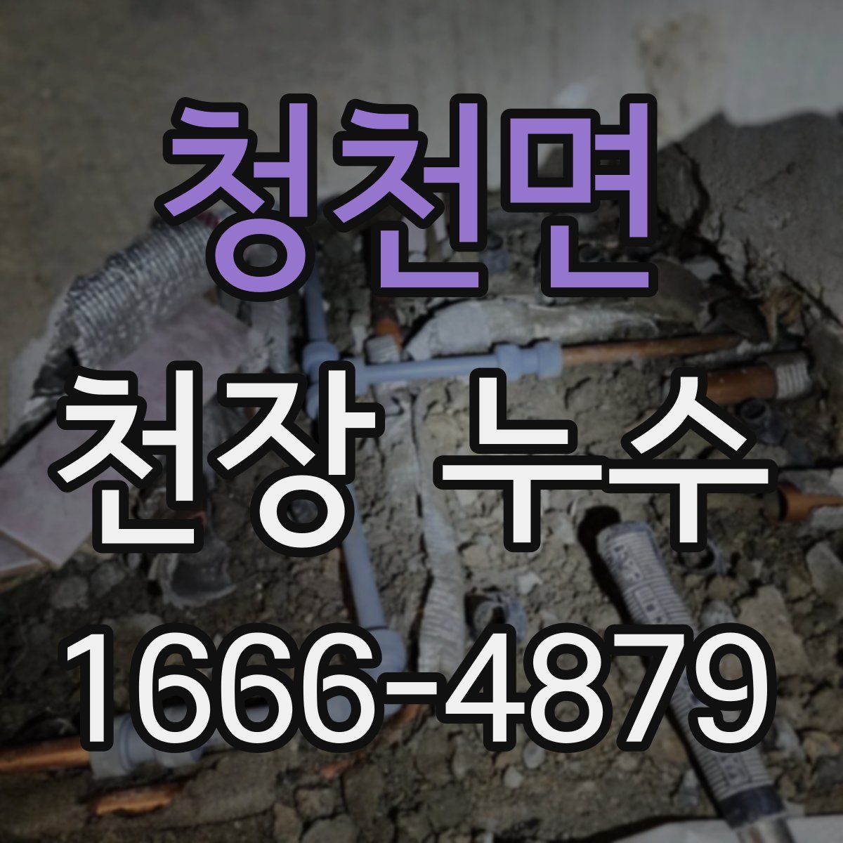 청천면 천장 누수