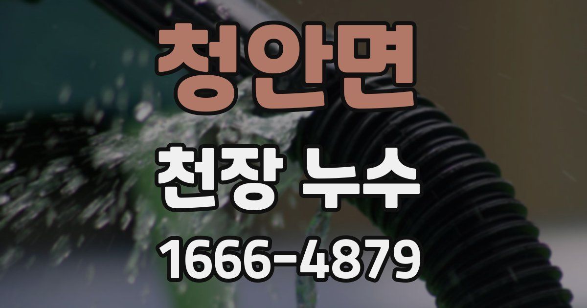 청안면 천장 누수