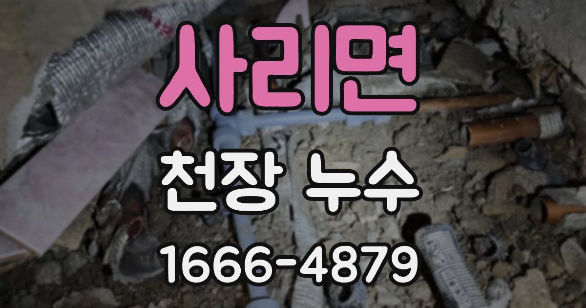 사리면 천장 누수