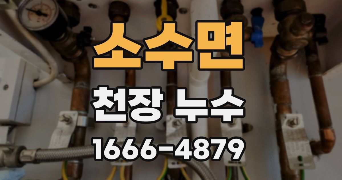 소수면 천장 누수