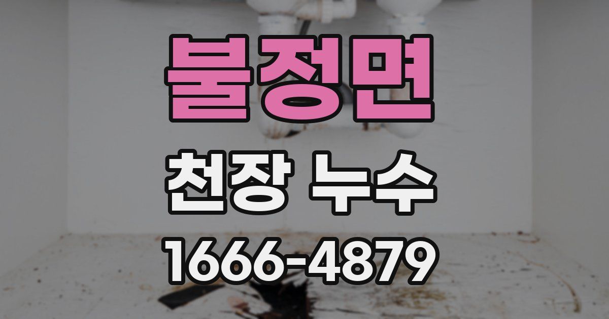 불정면 천장 누수