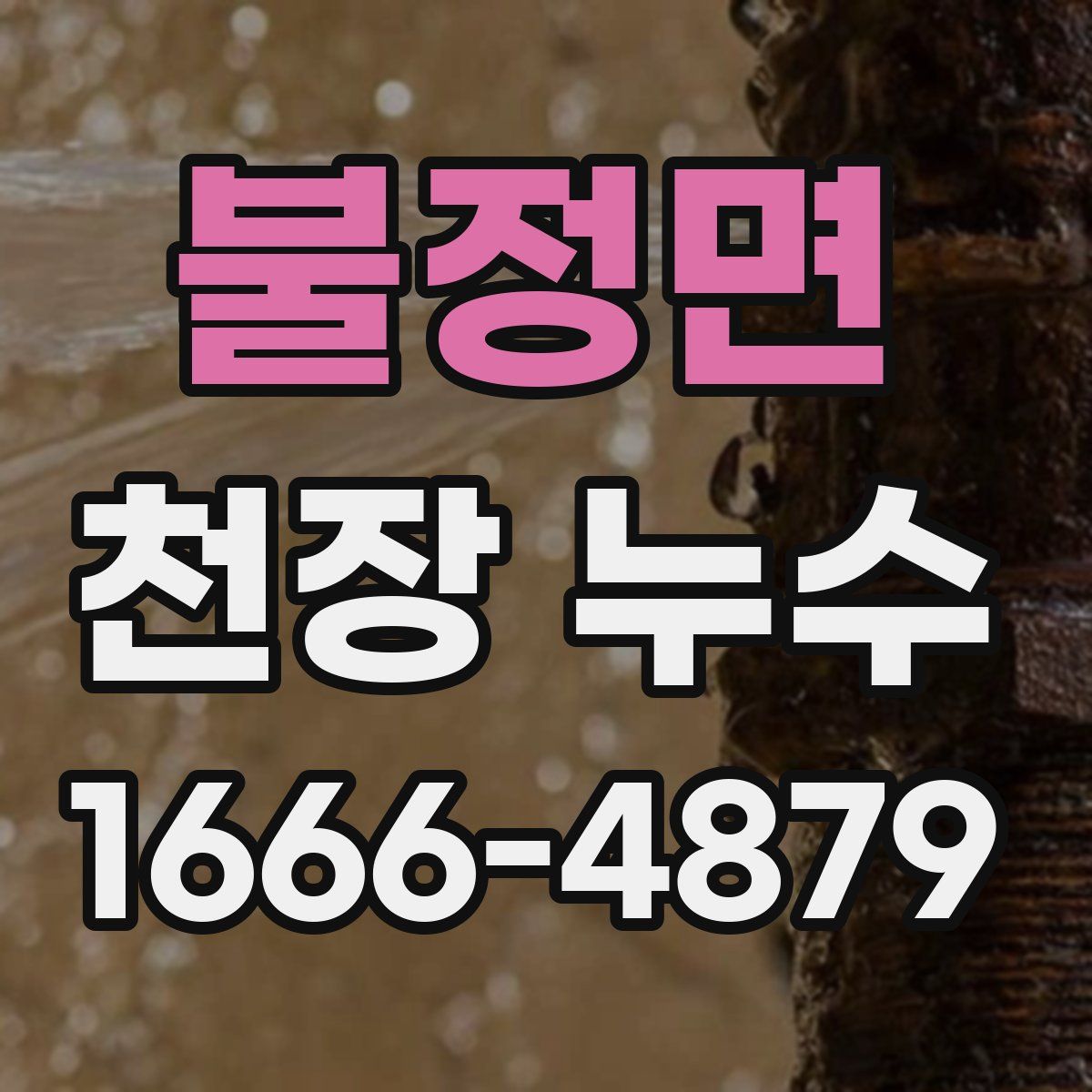 불정면 천장 누수