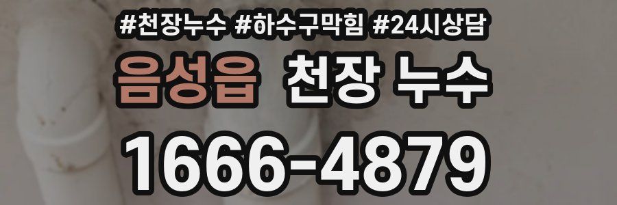 음성읍 천장 누수