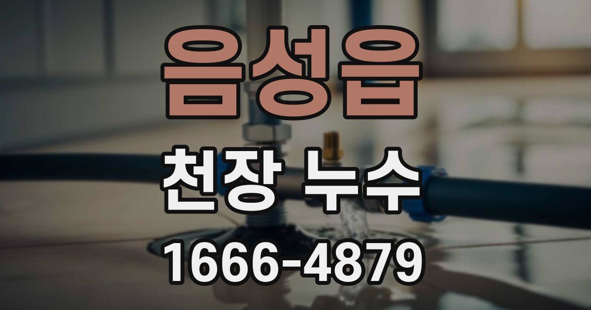 음성읍 천장 누수