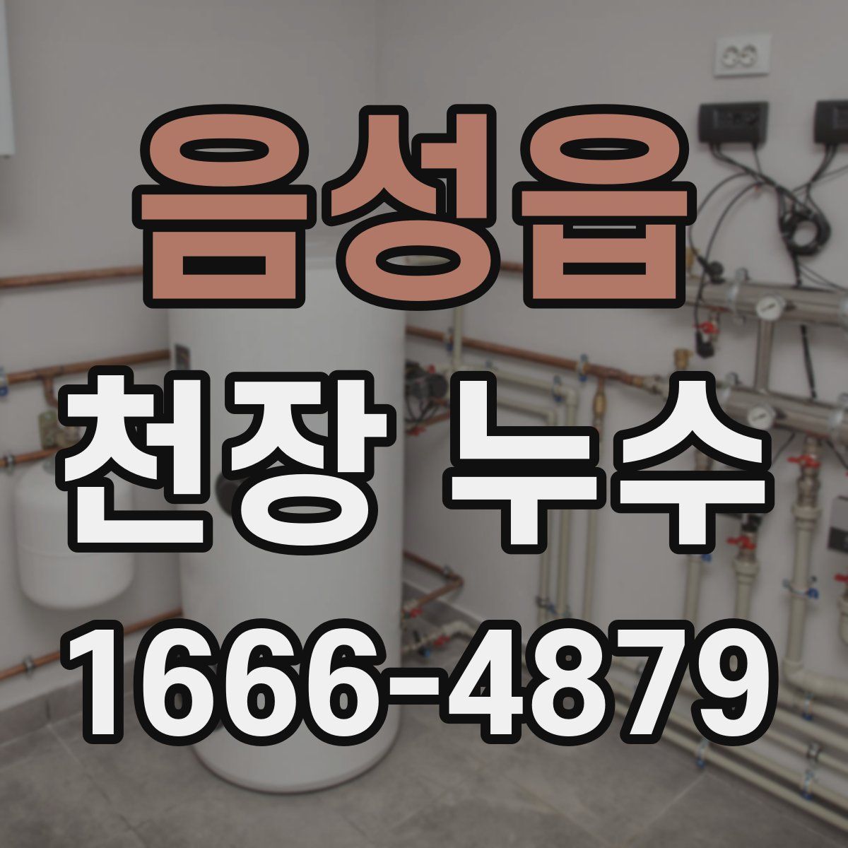 음성읍 천장 누수