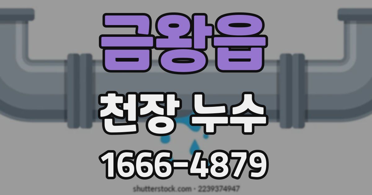 금왕읍 천장 누수