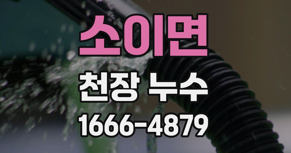 소이면 천장 누수