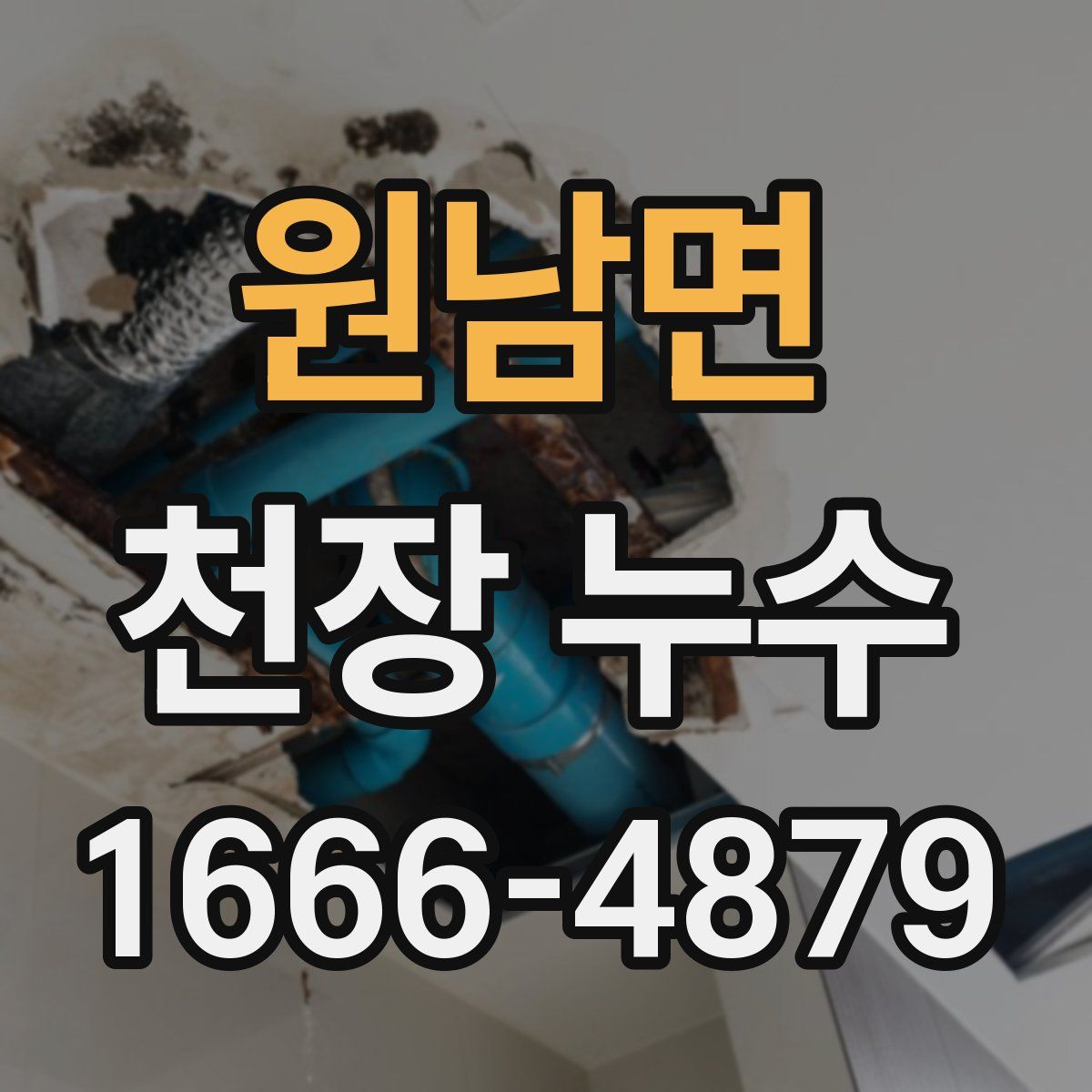 원남면 천장 누수