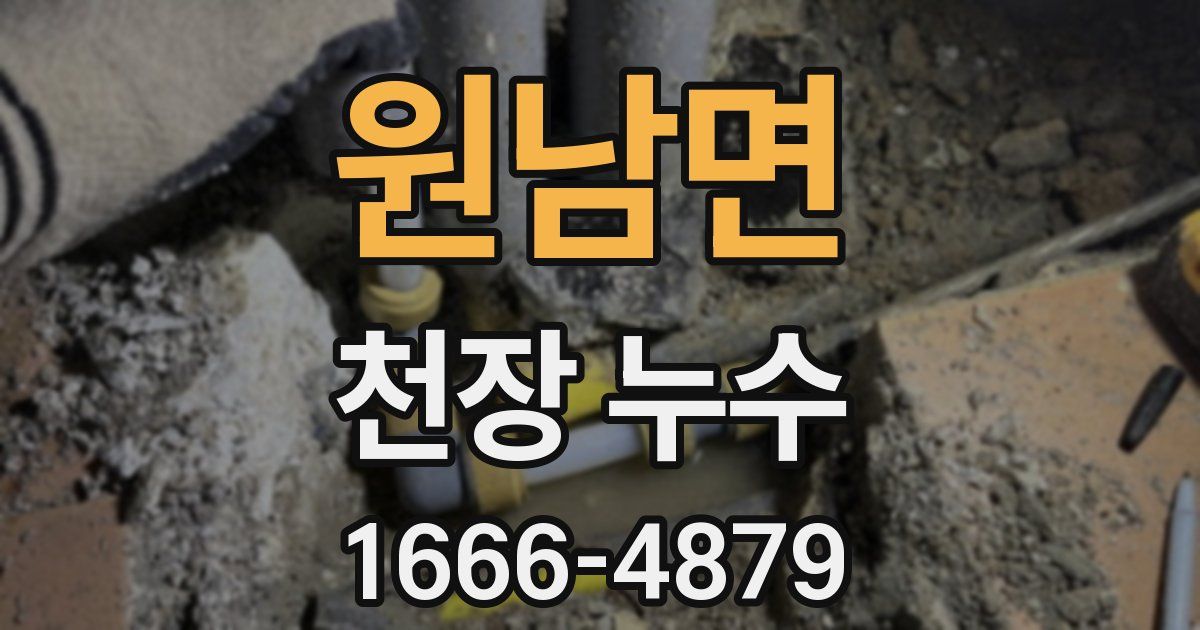 원남면 천장 누수