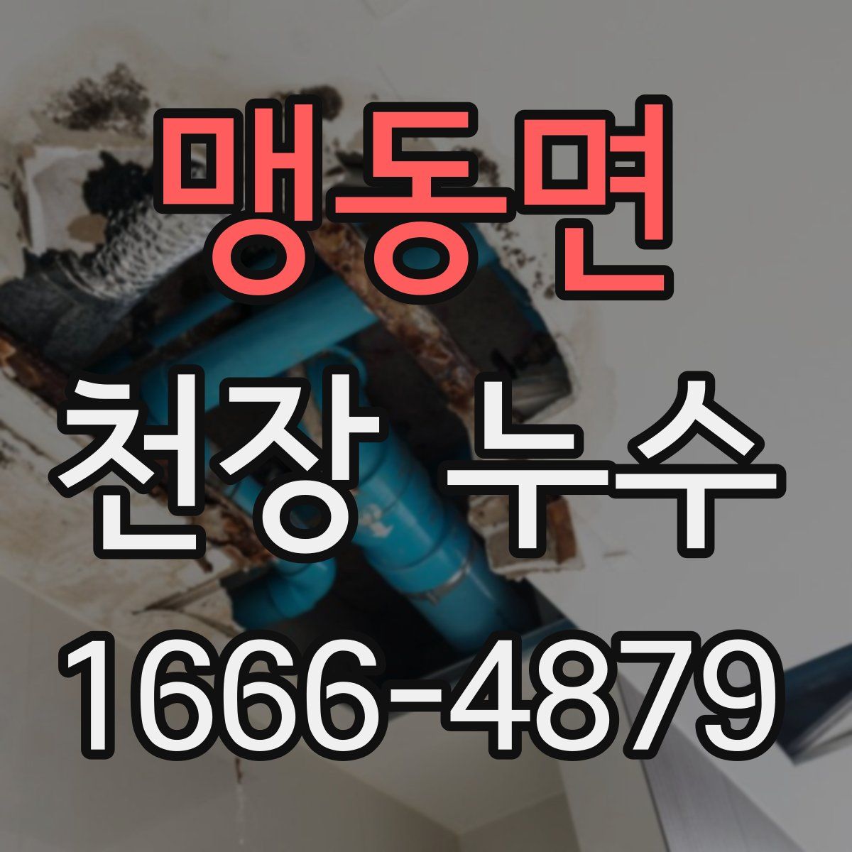 맹동면 천장 누수