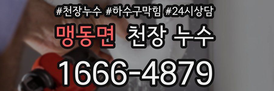 맹동면 천장 누수