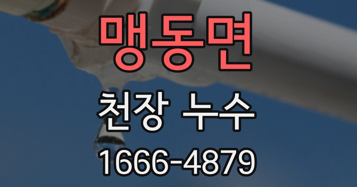 맹동면 천장 누수