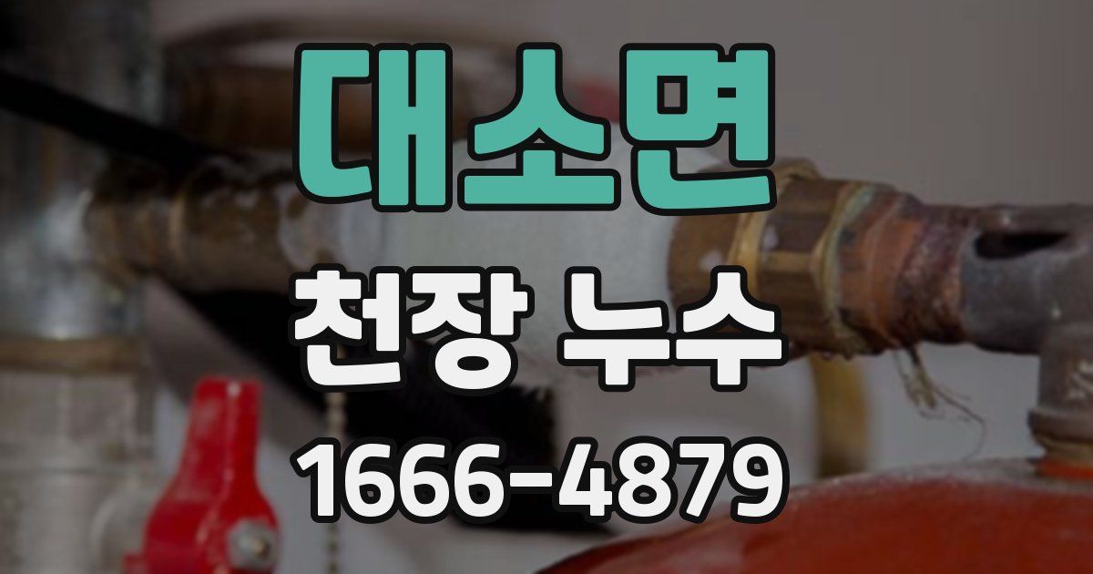 대소면 천장 누수