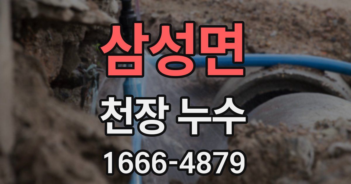 삼성면 천장 누수