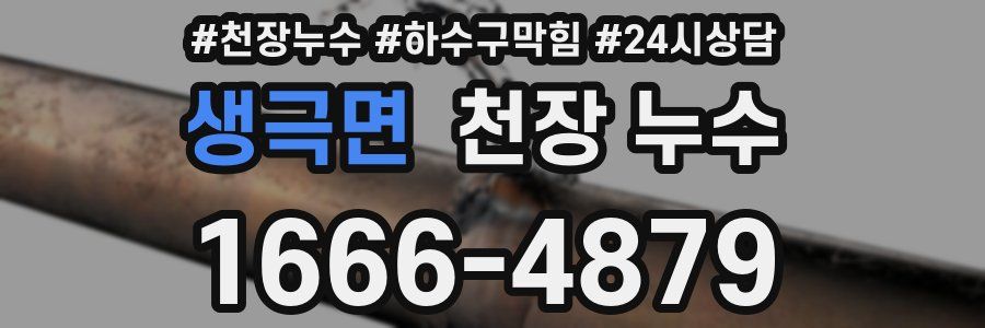 생극면 천장 누수