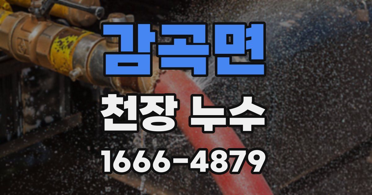 감곡면 천장 누수