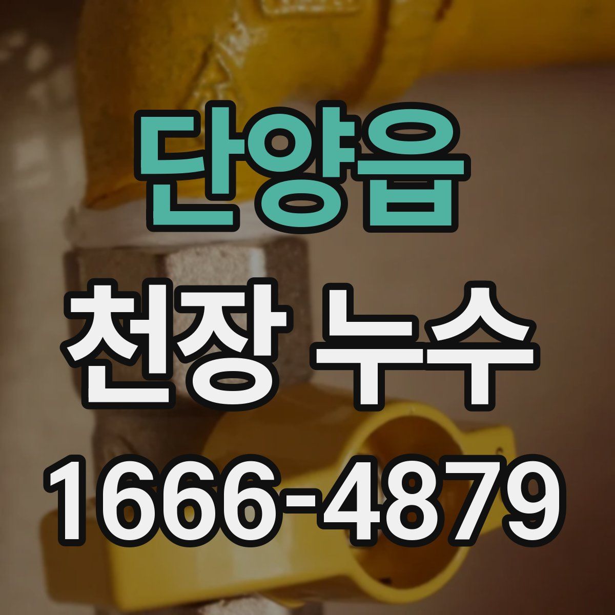 단양읍 천장 누수