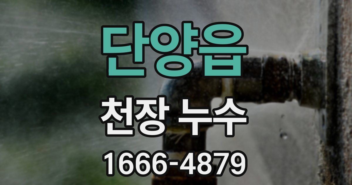단양읍 천장 누수