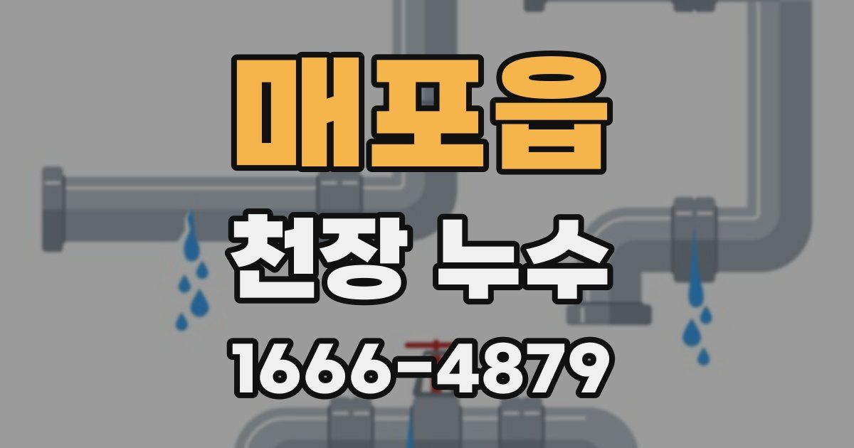 매포읍 천장 누수