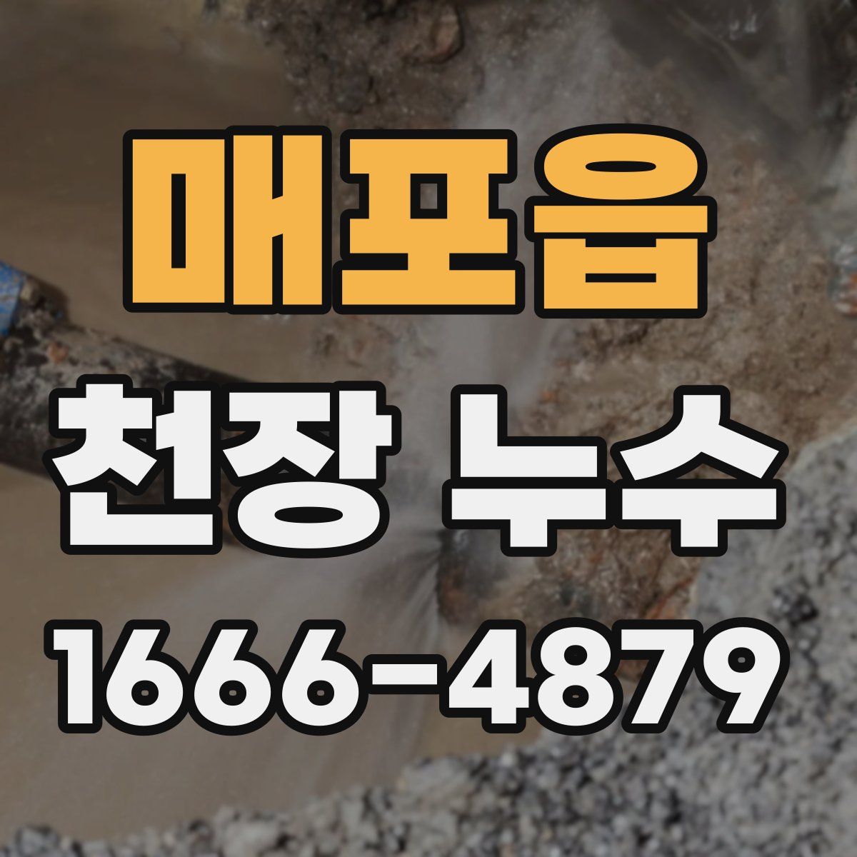 매포읍 천장 누수