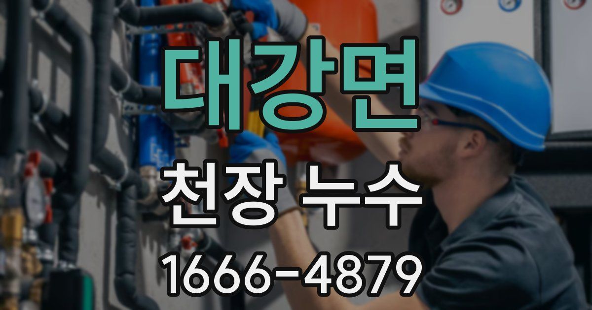 대강면 천장 누수