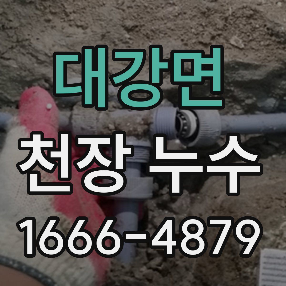 대강면 천장 누수