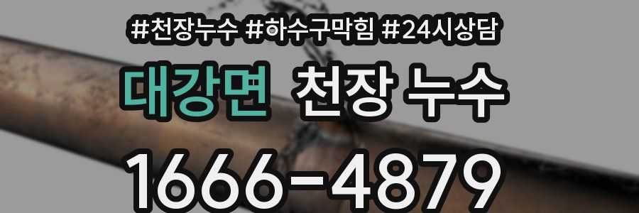 대강면 천장 누수